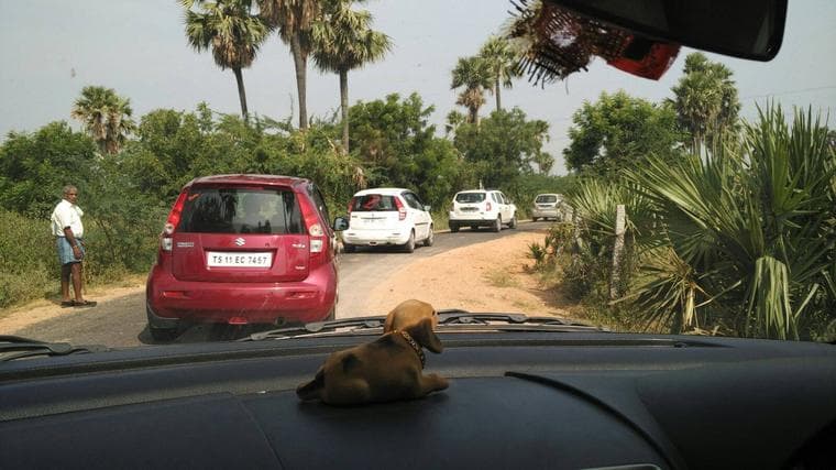 A convoy of TechieRide member cars on a palm-lined rural road, photographed from inside one of the cars, on the way to Kuntal Gudem, Choutuppal
